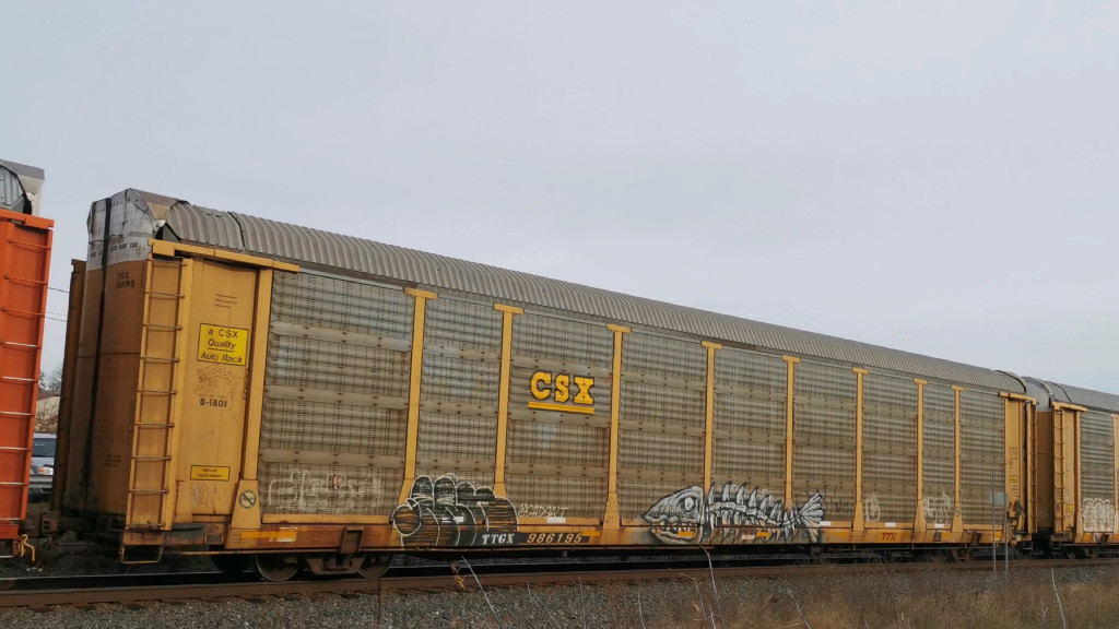 CSX B1801 (Body) TTGX 986195 (Flat)